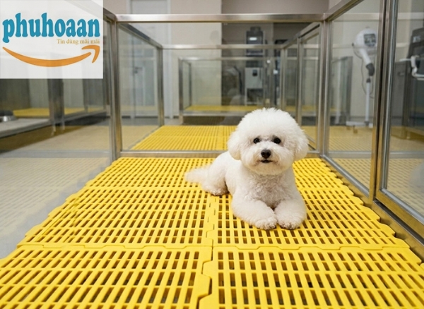 Địa Chỉ Mua Tấm Nhựa Lót Sàn Chuồng Chó Tại Hà Nội