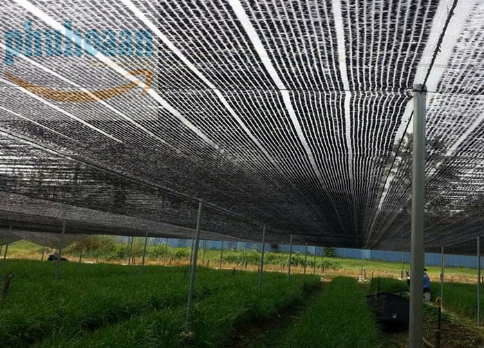Lưới che nắng ngoài trời cho cây
