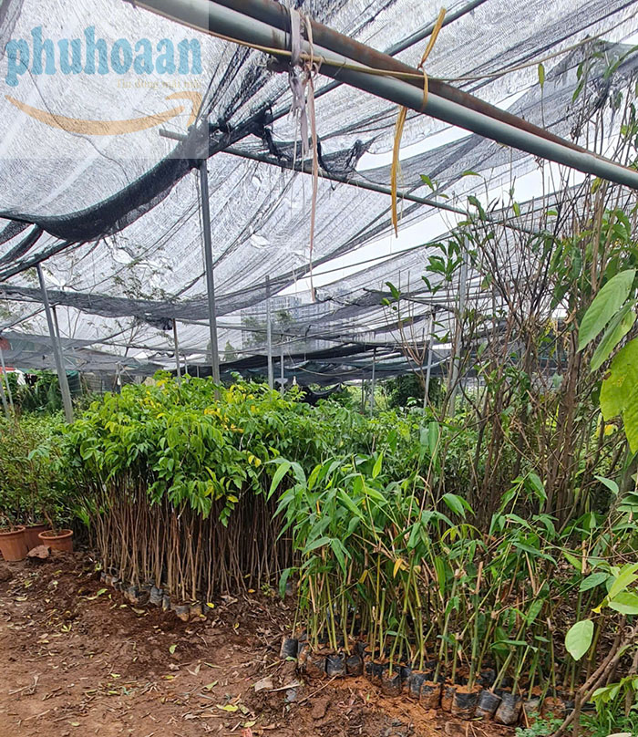 Lưới che nắng Việt Nam giá rẻ