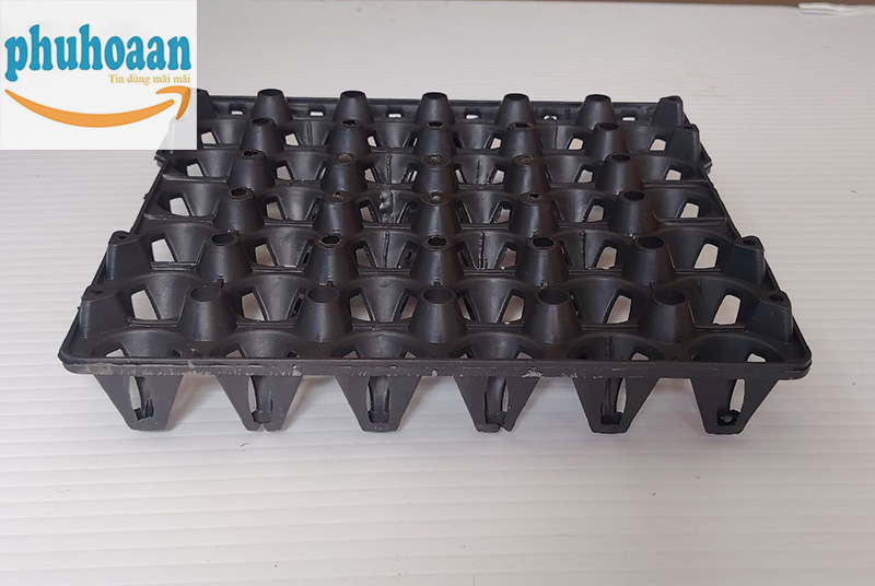 Công Ty Sản Xuất Khay Đựng Trứng Bằng Nhựa Uy Tín