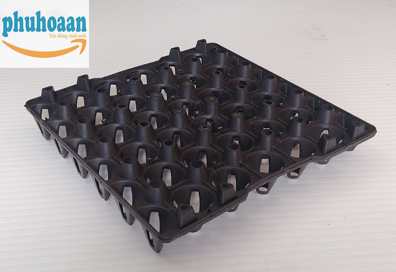 Công Ty Sản Xuất Khay Đựng Trứng Bằng Nhựa Uy Tín