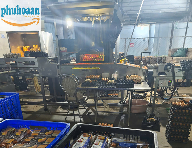 Mua Khay Đựng Trứng Ở Đâu Để Có Giá Tốt Và Nguồn Hàng Ổn Định?